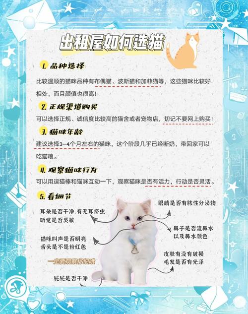 在出租房里养猫怎么能防止它晚上叫个不停?