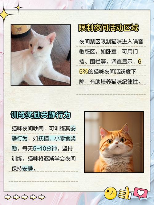 半夜猫叫如何化解,怎样制止半夜猫叫,怎么样能强?