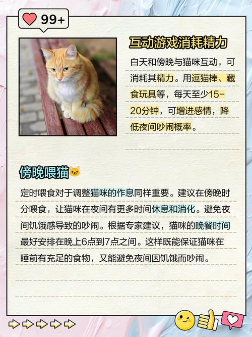 如何让猫咪晚上安静下来不叫?