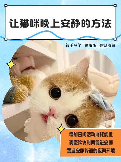 如何训练幼猫晚上不叫?