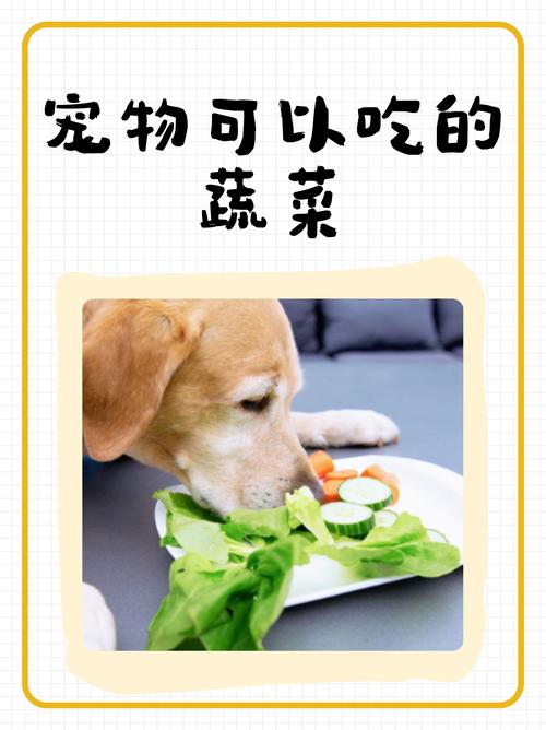 狗狗吃蔬菜要煮熟吗两个月