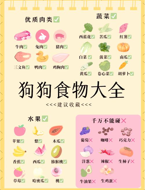 普通狗狗能吃什么