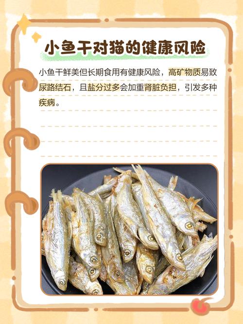 猫不吃小鱼干是怎么回事?