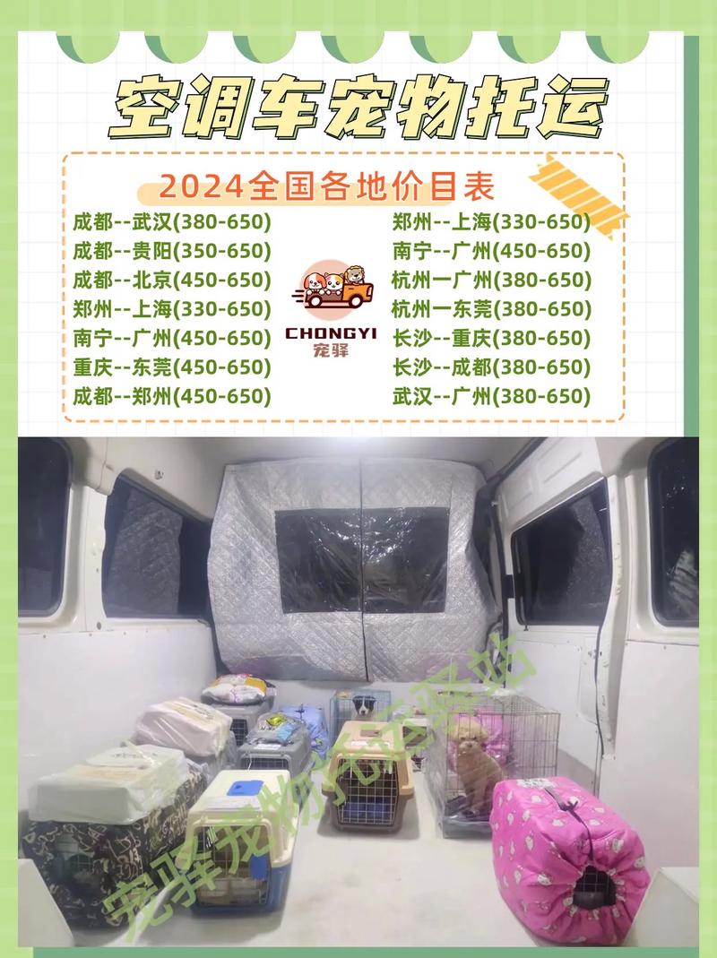 活体猫可以发快递吗,多少钱一只