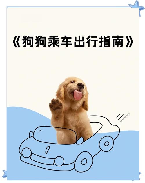 怎么样坐公交车才可以带狗?