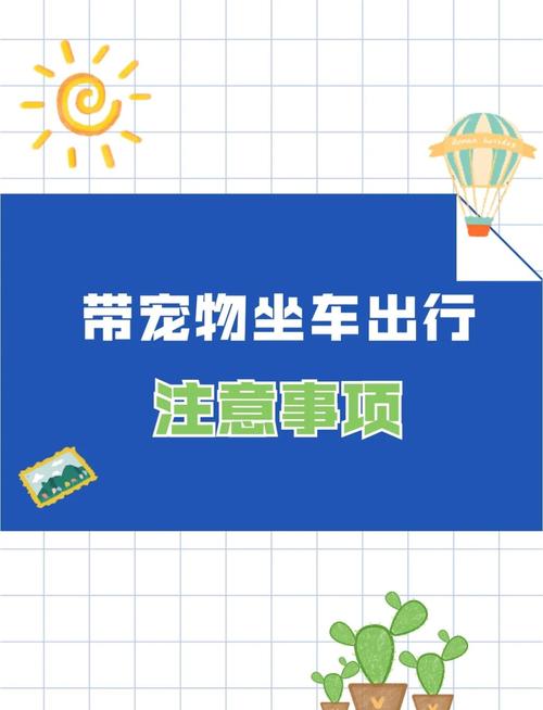 哪些交通工具可以带宠物?