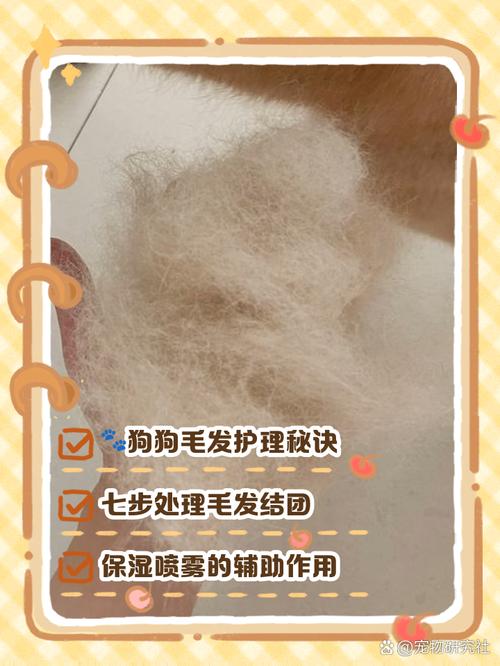 家里的狗身上毛打结了