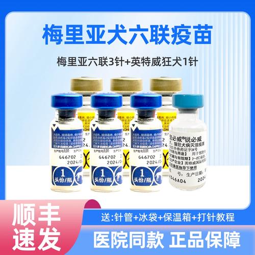 六联疫苗多少元一支