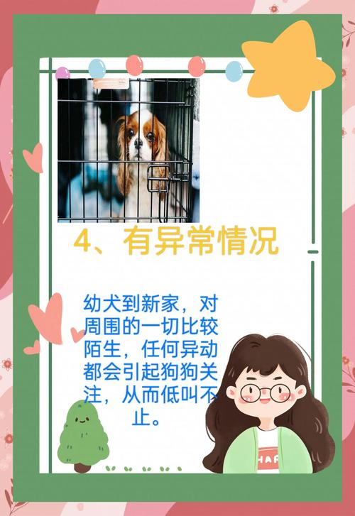 狗狗自己在家哀嚎为什么