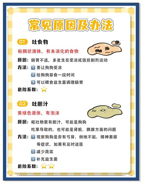 狗狗呕吐,怎么办?