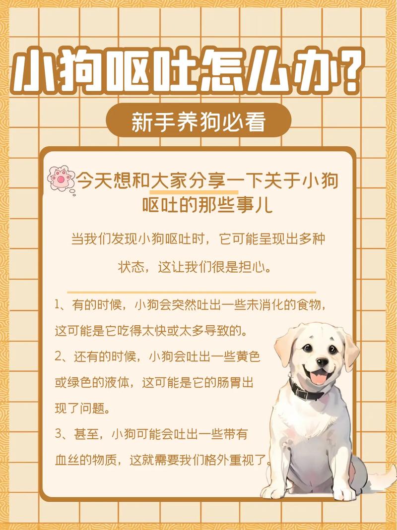 狗狗呕吐是怎么治疗