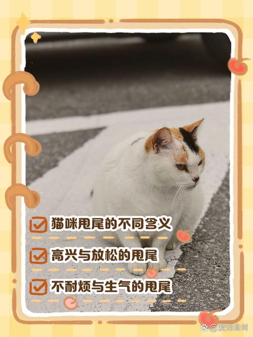 猫咪这样甩尾巴是什么意思?