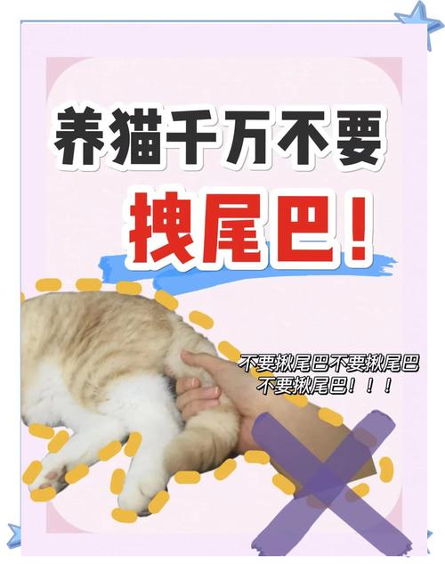 猫尾巴在地上甩来甩去,是什么意思?