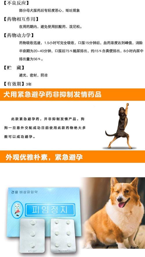 狗吃什么紧急避孕