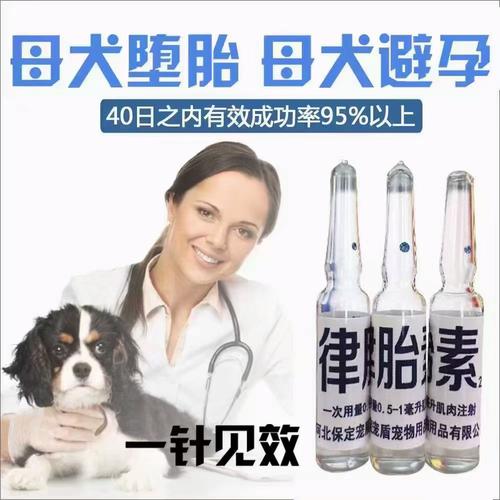狗不怀孕吃什么药