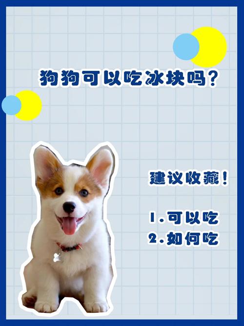 狗狗怕热能给它吃冰块吗?