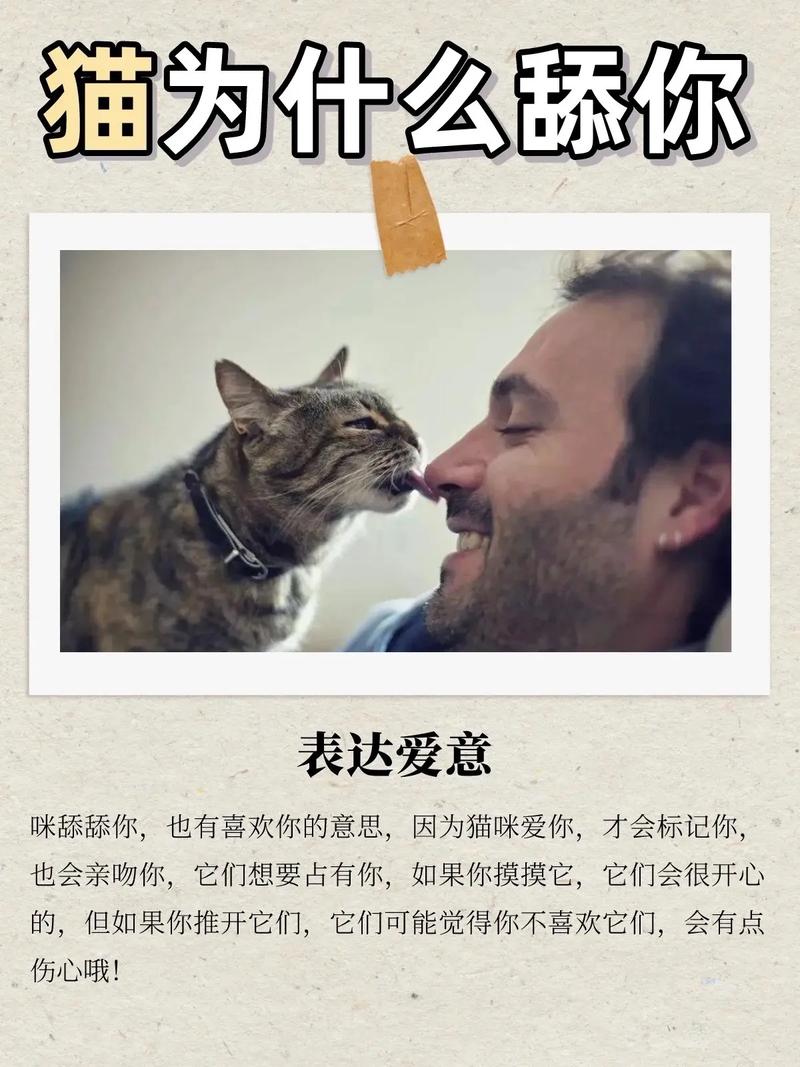 为什么猫咪喜欢舔人眼睛