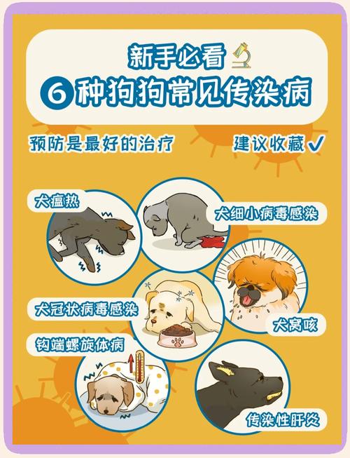 狗狗感冒会传染人吗,不会传染但要做好预防措施