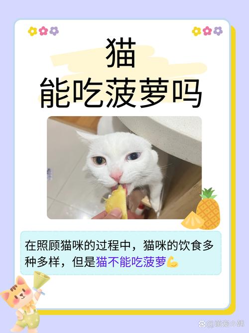 猫可不可以吃菠萝这种东西