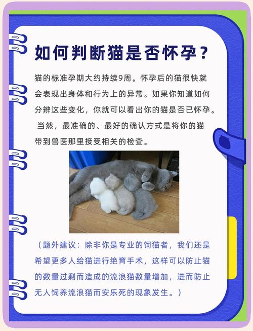 猫咪怎么看出来怀孕了?