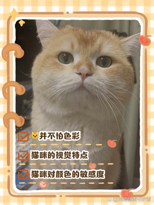 猫咪为什么怕红色