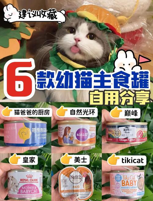 猫一周吃几次主食罐头