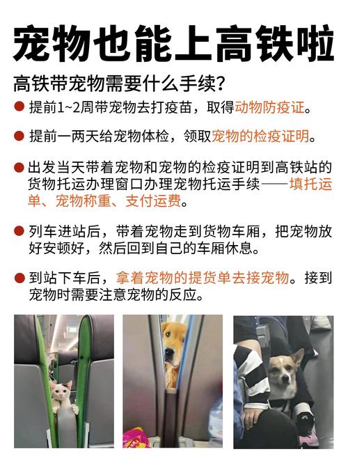 带狗狗坐高铁需要什么手续