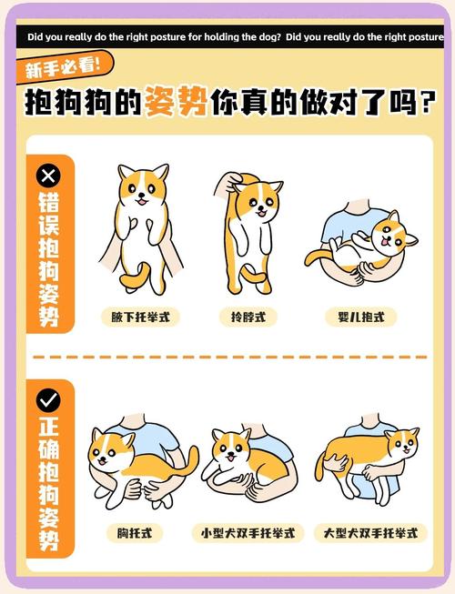 怎样才能让狗狗喜欢我的身体呢?