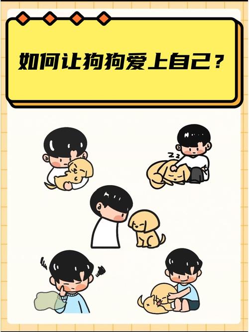 怎么可以让狗狗喜欢上我