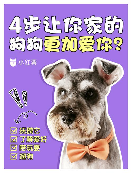 怎么让狗狗喜欢你?