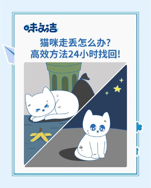 猫咪走丢了一般会在哪