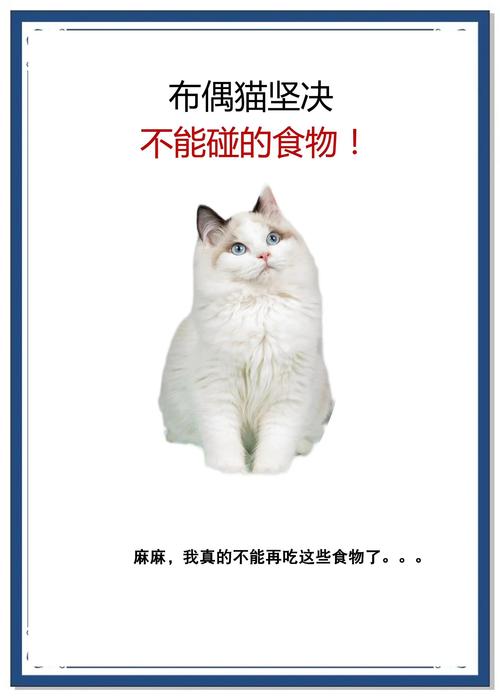 猫咪不能吃哪些蔬菜?为什么?