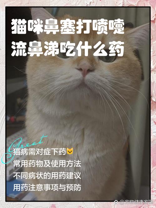 小猫感冒流鼻涕吃什么药