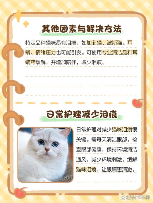 猫咪流眼泪有眼屎怎么回事
