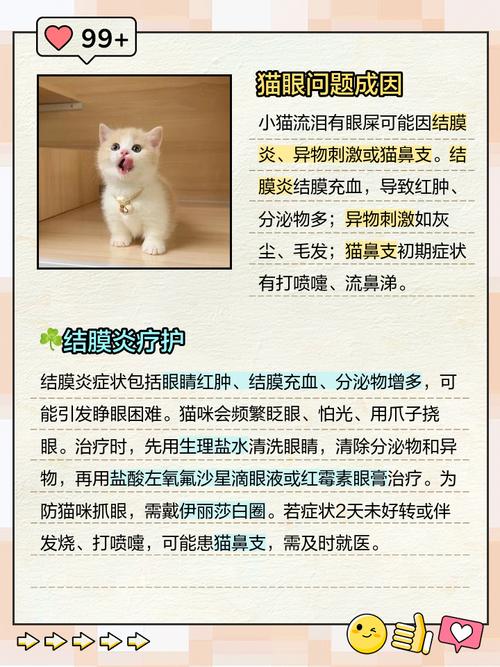 猫流泪有眼屎怎么回事