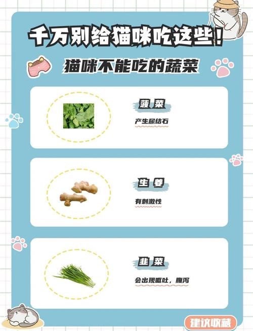 猫猫不能吃什么食物?