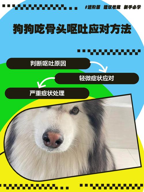 狗狗吃骨头不消化呕吐怎么办