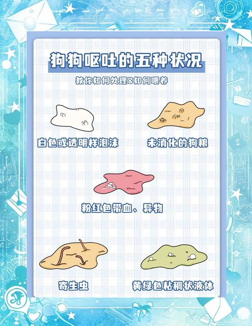 狗狗吃啥吐啥一点不消化全部吐出来了