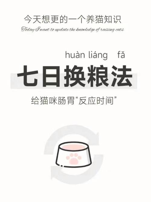怎么样给猫换猫粮?