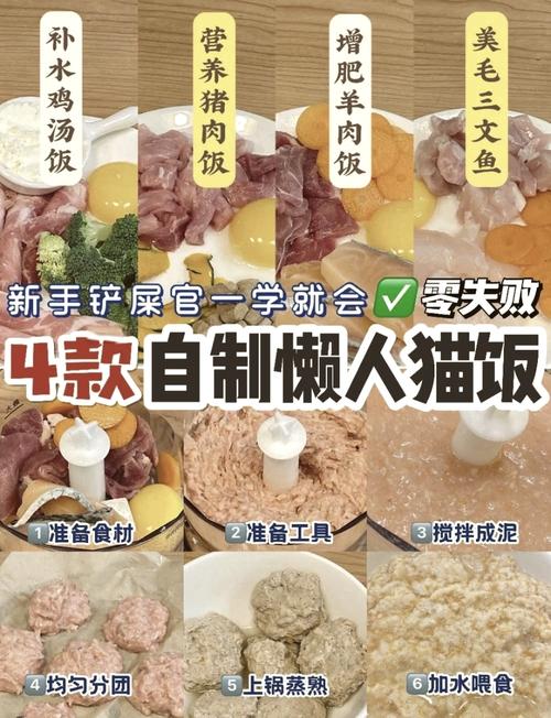 猫咪不好好吃饭怎么办