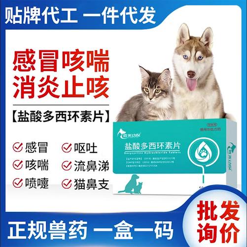 狗感冒打喷嚏鼻子干吃什么药