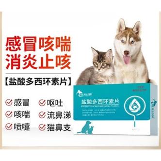 小狗狗感冒了吃什么药