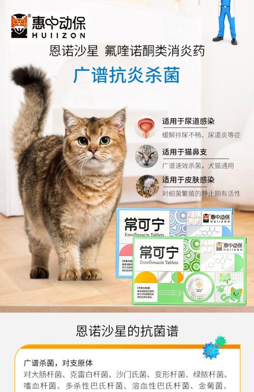 猫咪尿道炎吃什么药效果最快