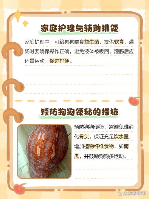 狗狗溜很久都不拉屎怎么办?