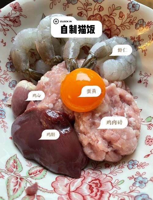 怎样给猫咪准备营养又便宜的自制猫饭?