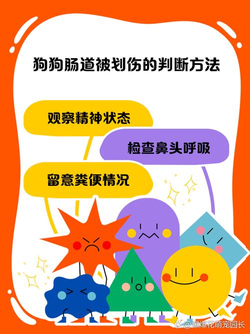 烘干小羊蹄狗狗吃多了会不会上火