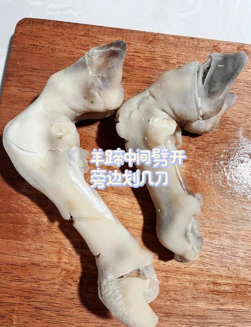 能不能给狗狗喂羊骨羊蹄