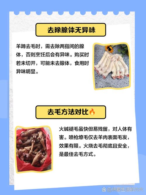 羊蹄怎么处理才能喂给狗子吃?