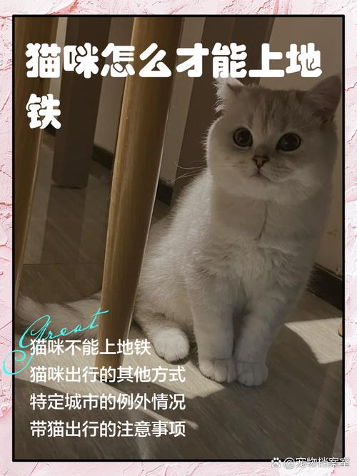 有太空包可以带狗狗上地铁吗