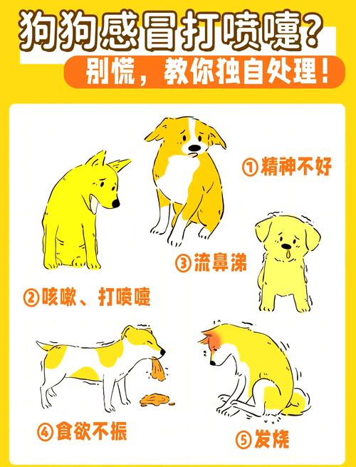 狗狗感冒了怎么办?
